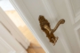 "Traumhaftes, freies Apartment mit Balkon und Einbauküche im Winsviertel" - Türdetail